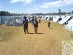 6Refugee camp Eldoret